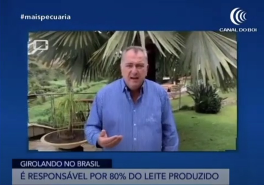 Girolando no Braasil
